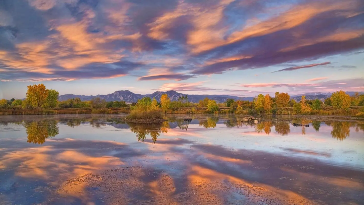 绿色高效电子